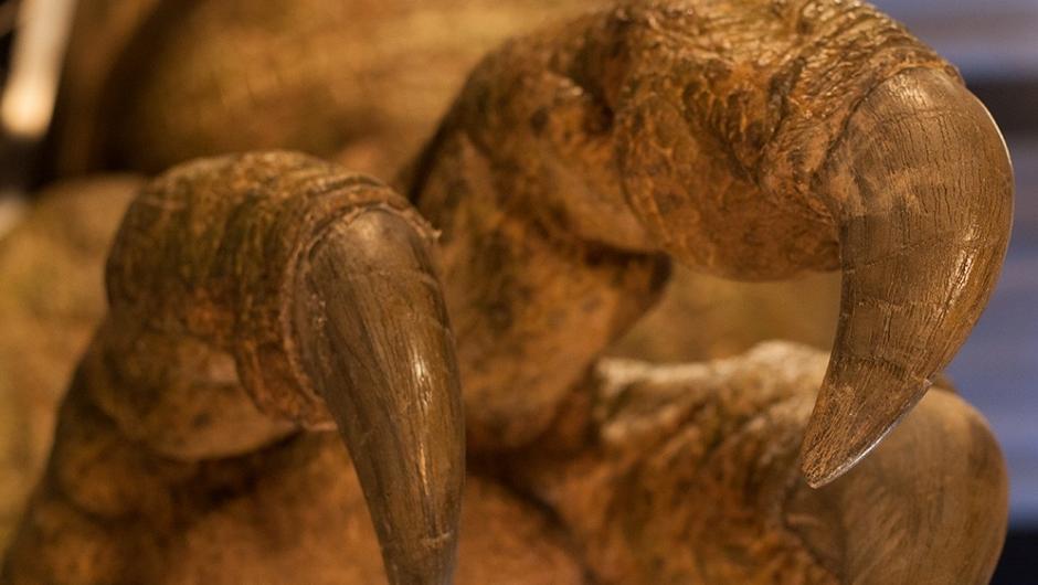 Проект динозавр t rex autopsy