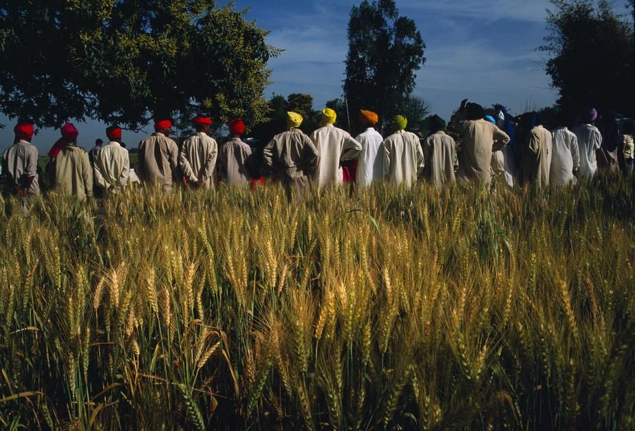 Costumed extras stand in a field of grain while waiting to go on set in Bombay. India. [Photo of the day - September 2011]