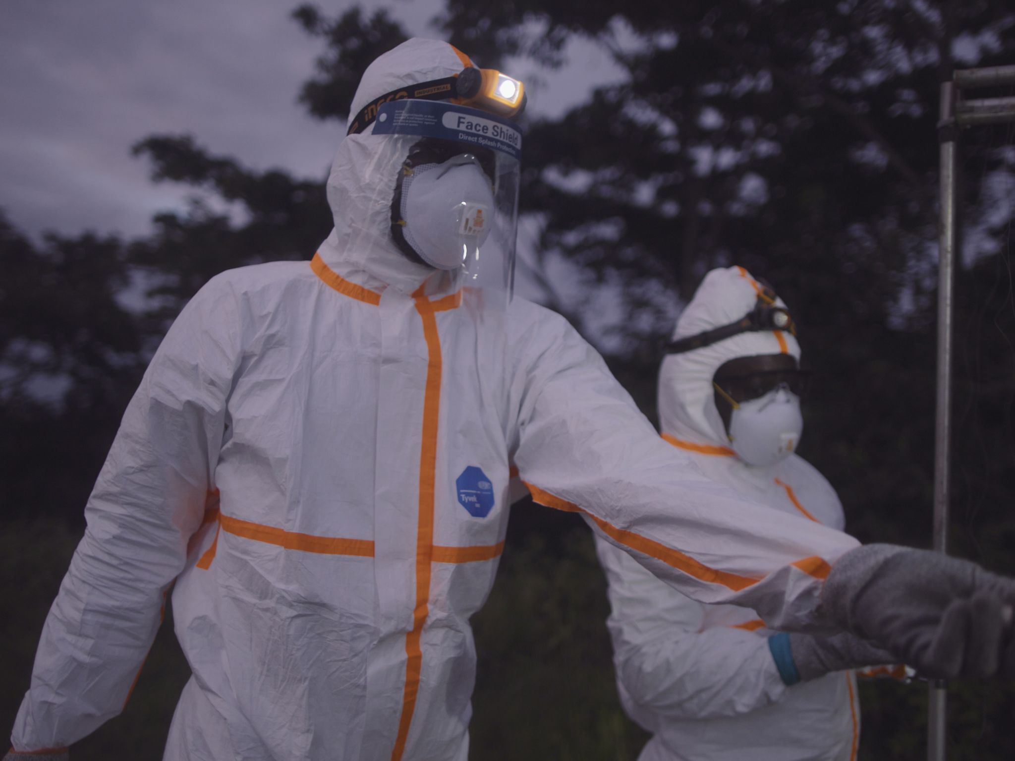 An EcoHealth Alliance team of researchers in hazmat suits sets up a harp trap outside of a bat... [Photo of the day - November 2020]