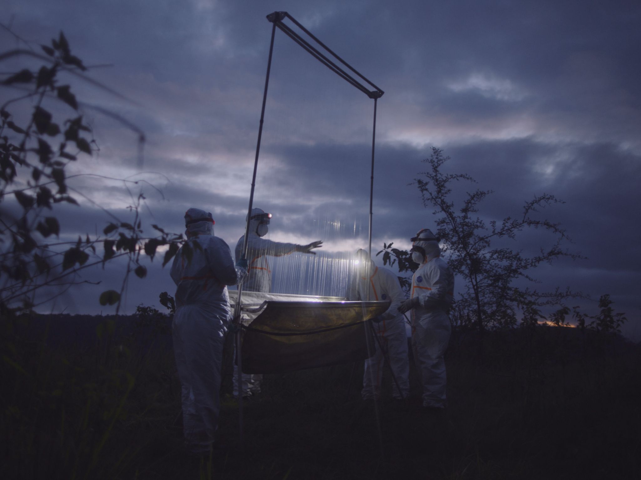 An EcoHealth Alliance team of researchers in hazmat suits sets up a harp trap outside of a bat... [Photo of the day - November 2020]