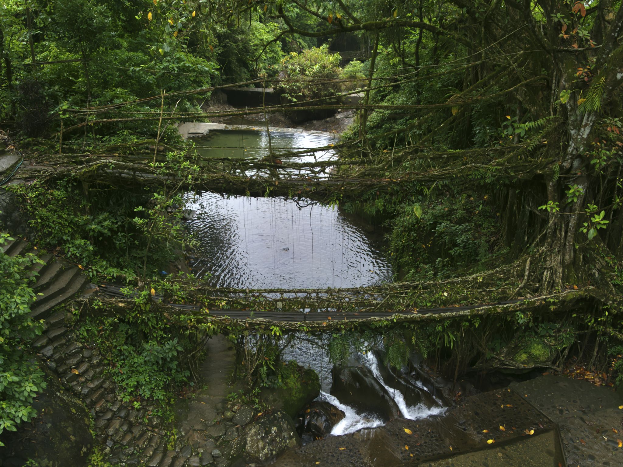 The double decker root bridges. This image is from India from Above. [Photo of the day - December 2020]