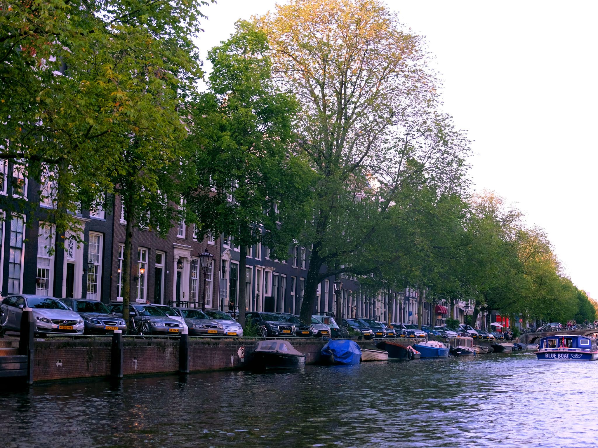 يتجه جريج والاس إلى العاصمة الهولندية أمستردام... [Photo of the day - مايو 2021]