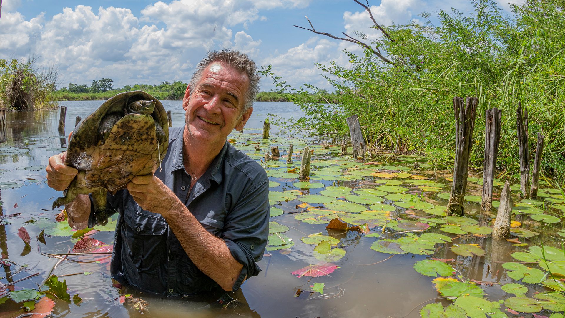 Nigel Marven with Central American River Turtle. This is from Central Wild America. [Photo of the day - September 2021]