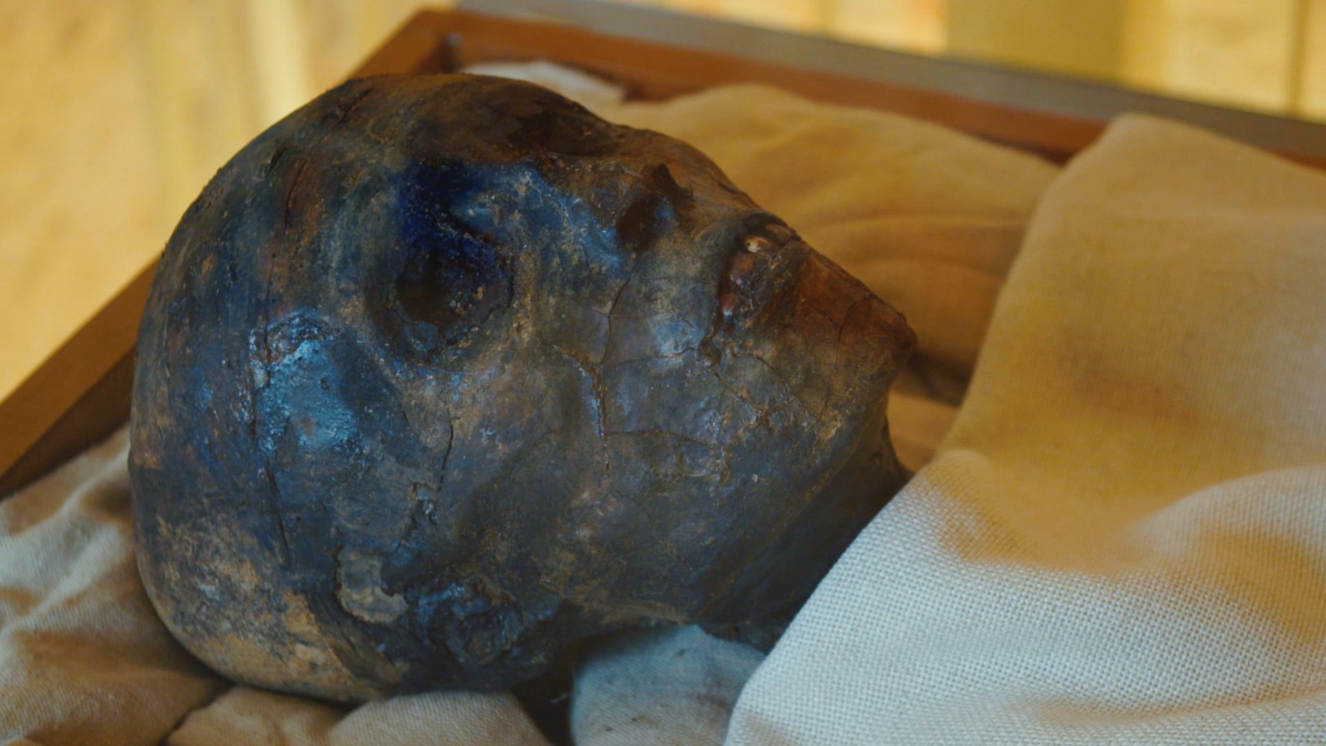 Close up of mummy. This is from Lost Treasures of Egypt, season 3. [Photo of the day - September 2021]