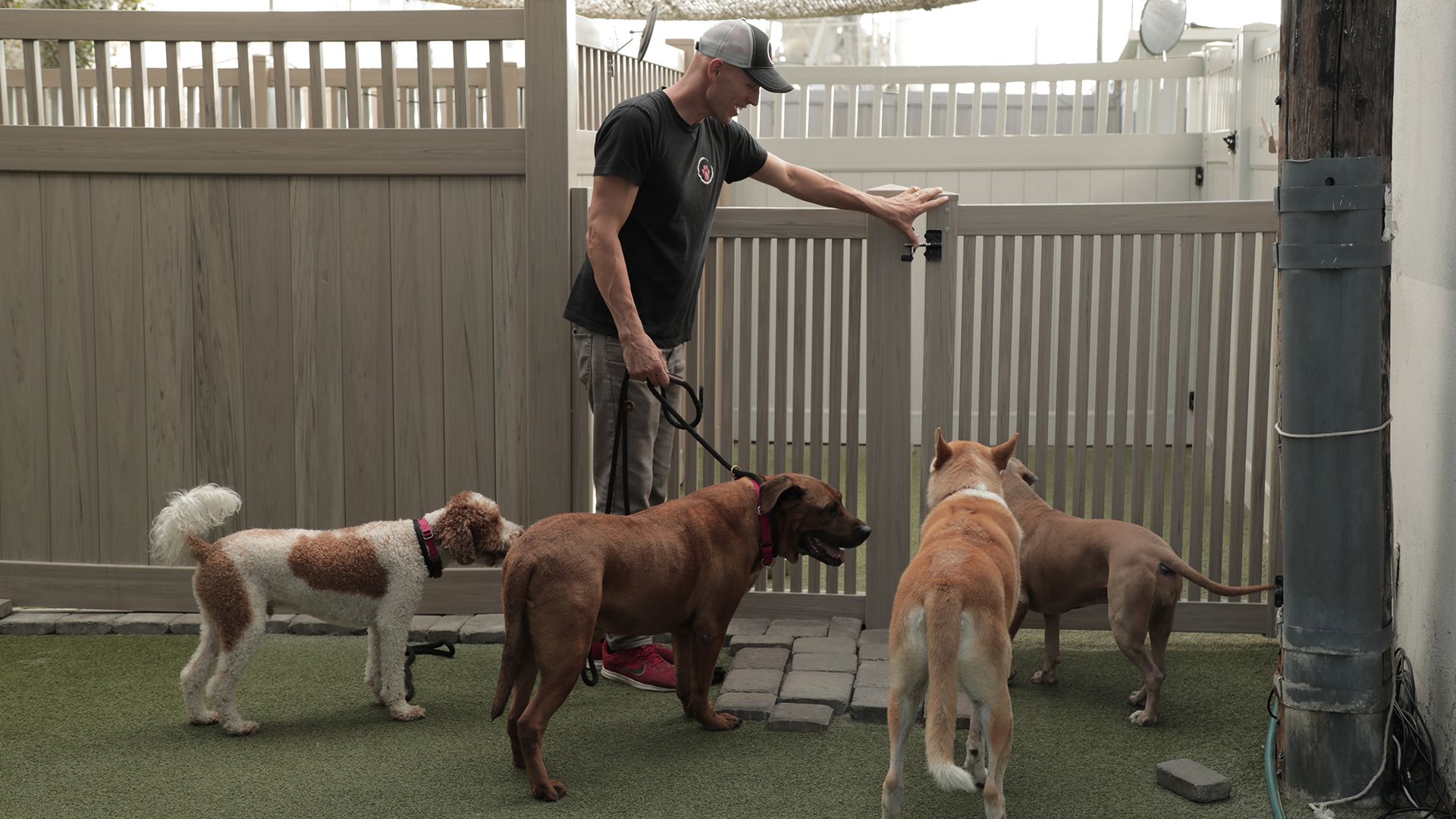 Trainer Matt Beisner works with shy dog Dexter, using other Zen Dogs to show him the way, while... [Photo of the day - October 2021]