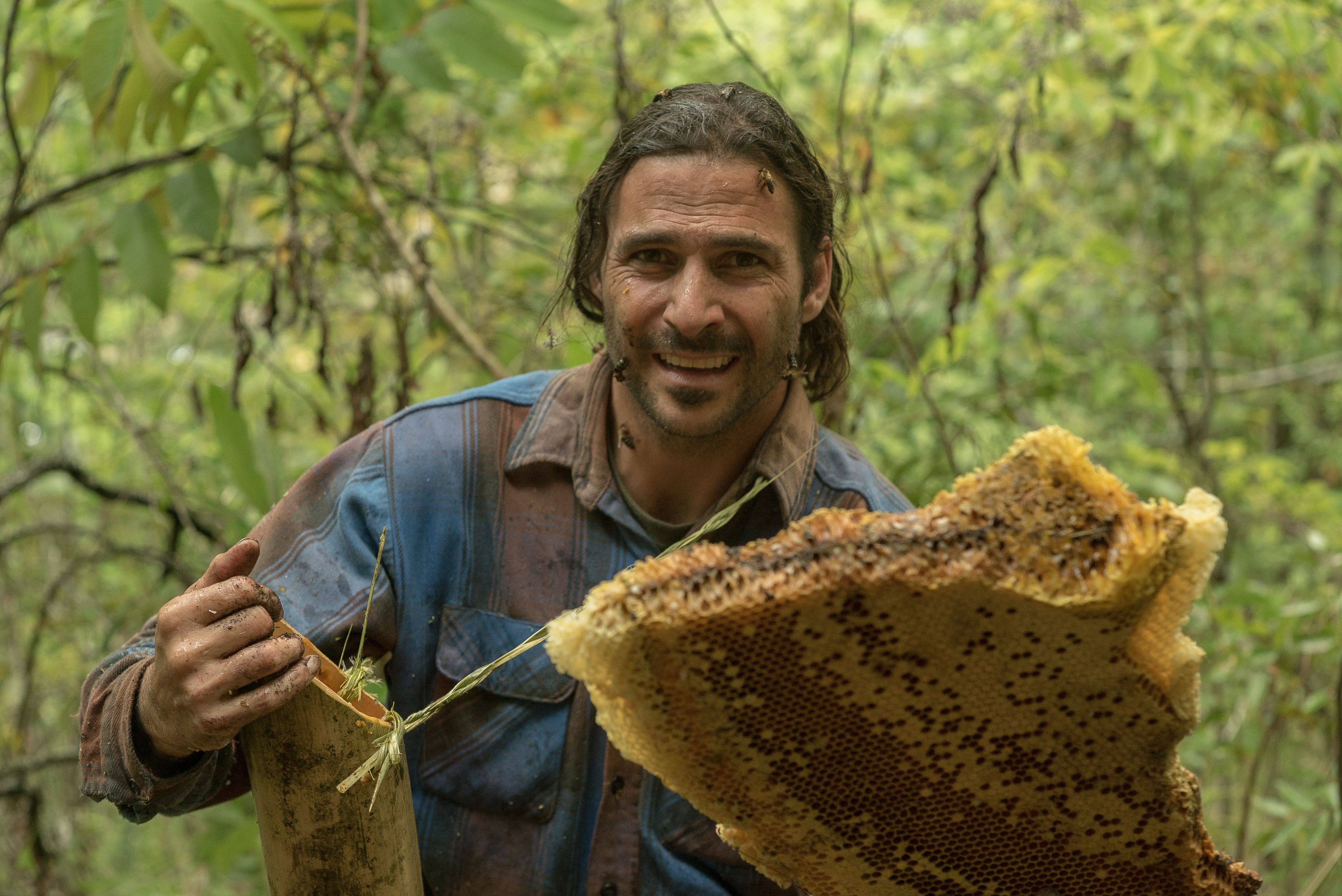 Hazen harvesting honey [Photo of the day - November 2021]