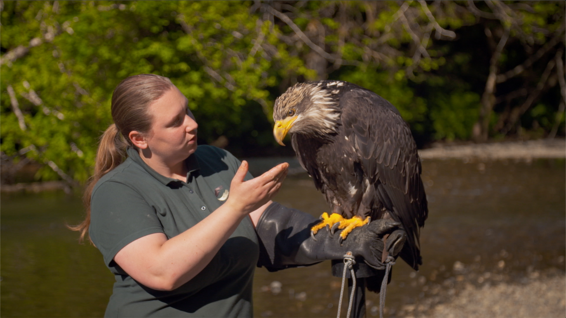 Sheila feeds a resident bald eagle near the Alaska Raptor Center. This is from Alaska: Animal Rescue [Photo of the day - June 2022]