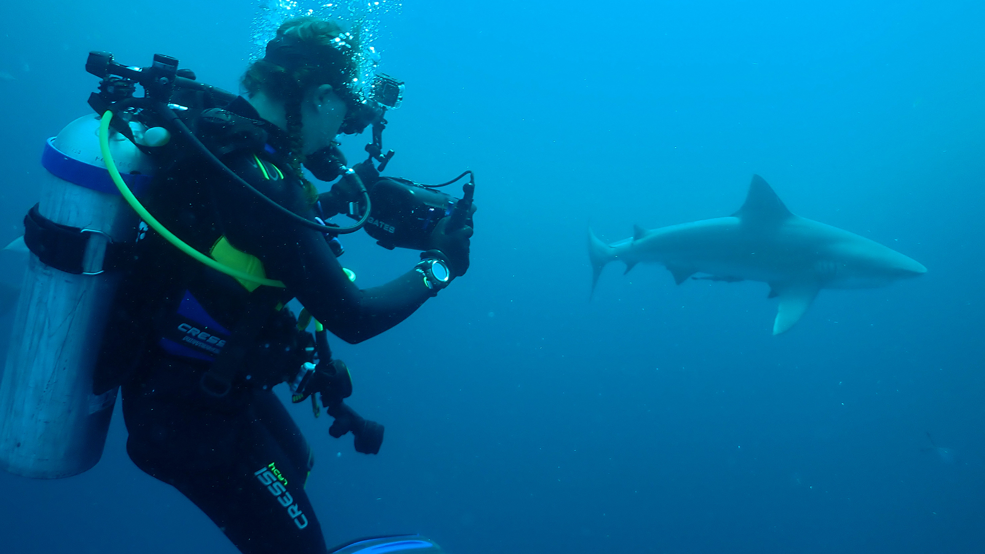 Sara Casareto films sharks underwater. This is from Jaws Vs. Boat. [Photo of the day - July 2022]