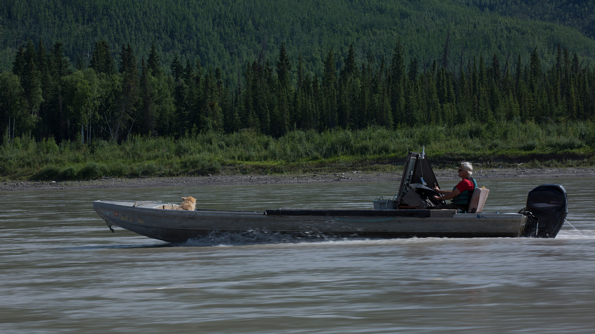 Eagle, AK - Andy Bassich heads out to collect logs for his compost build. This is from Heavy... [Photo of the day - July 2022]