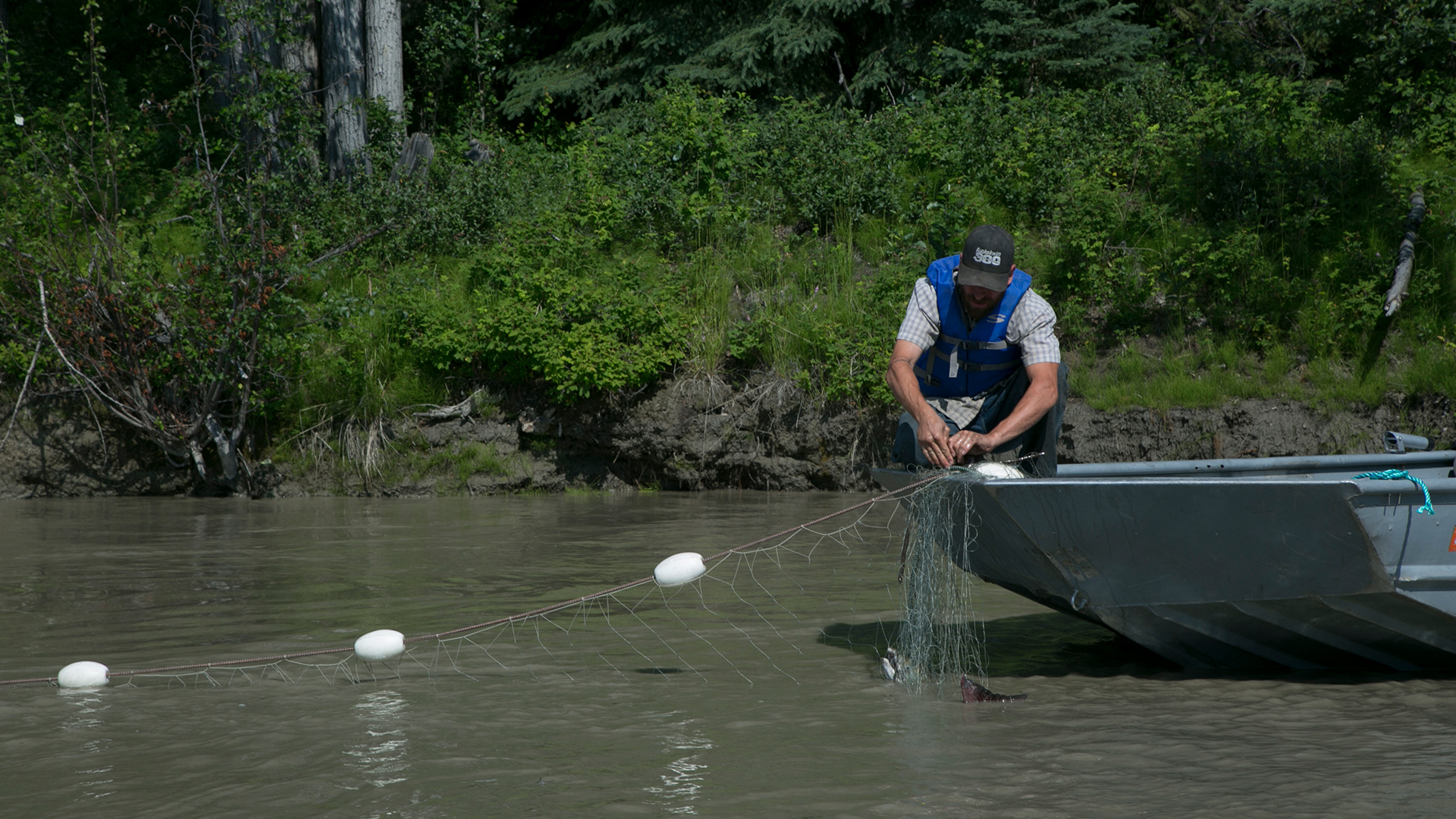 جيسي هولمز يصطاد بعض أسماك ملك السلمون. هذه الصورة من... [Photo of the day - يوليو 2022]