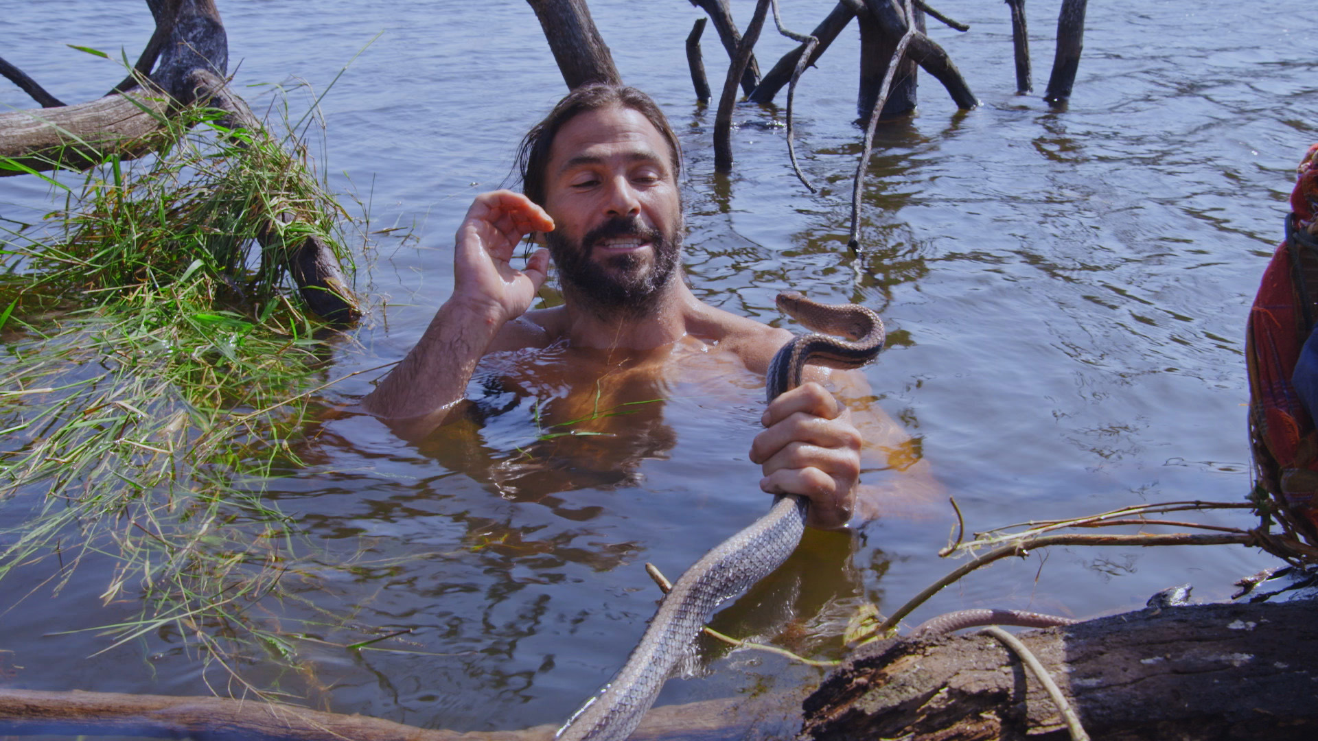 Hazen Audel in a river holding snake positioned to strike at him. This is from Primal Survivor:... [Photo of the day - August 2022]
