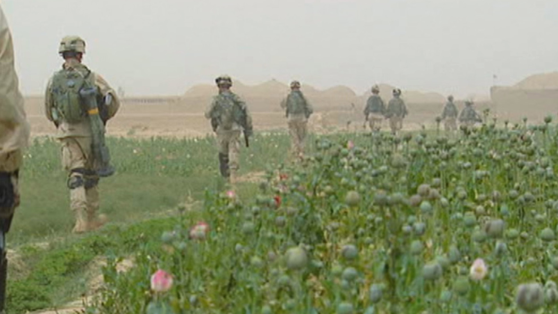 جنود يسيرون عبر حقل أفيون. هذه الصورة من برنامج حروب... [Photo of the day - أكتوبر 2022]