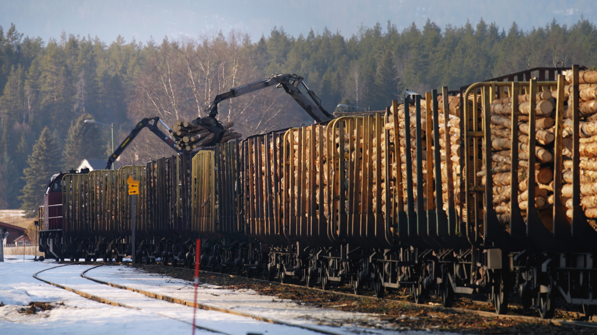 Freight trains carrying Norwegian timber share the same line as passenger trains on the Bergen... [Photo of the day - October 2022]