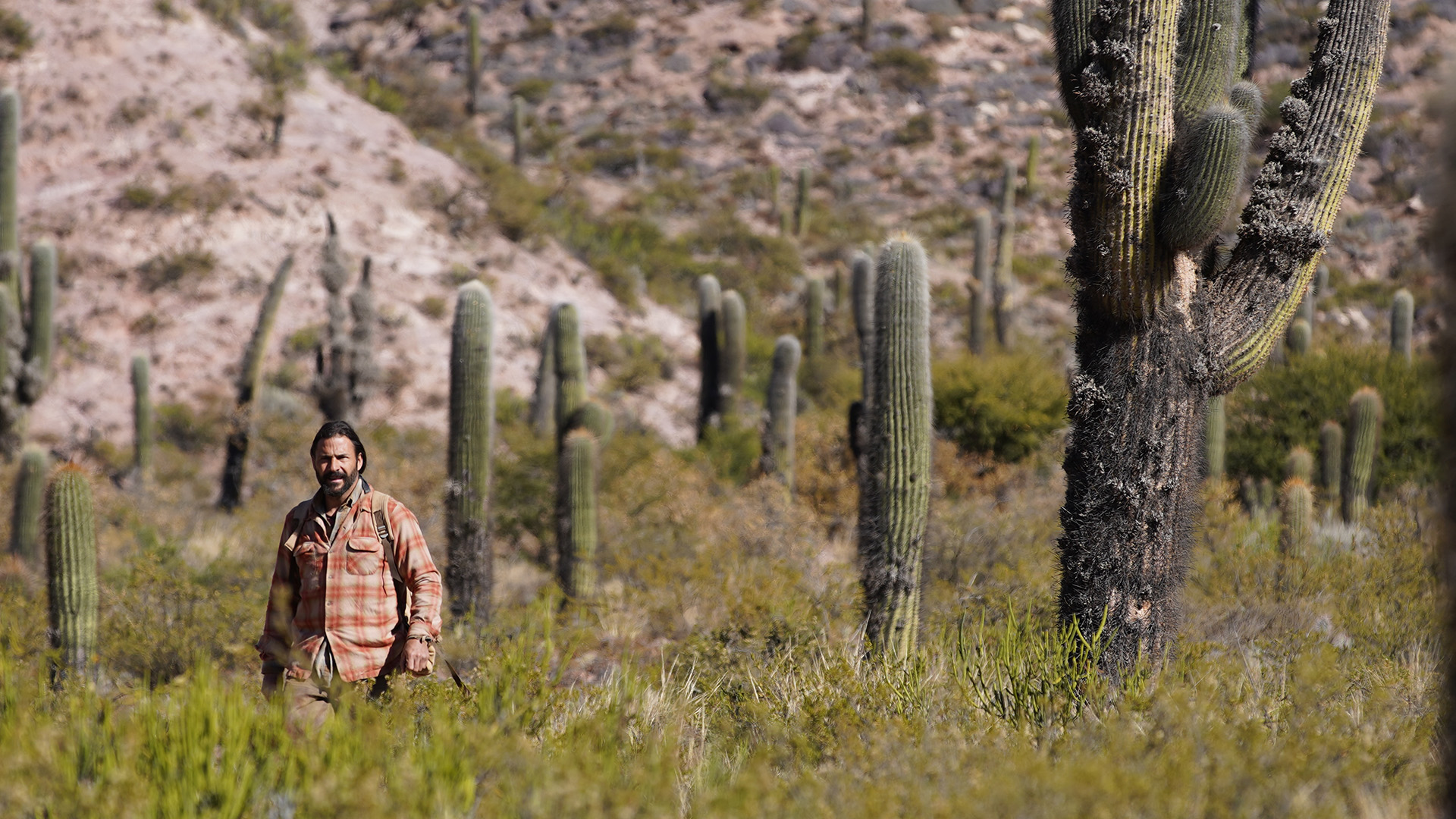 Hazen walking in the desert among the cacti. This is from Primal Survivor: Over the Andes. [Photo of the day - February 2023]