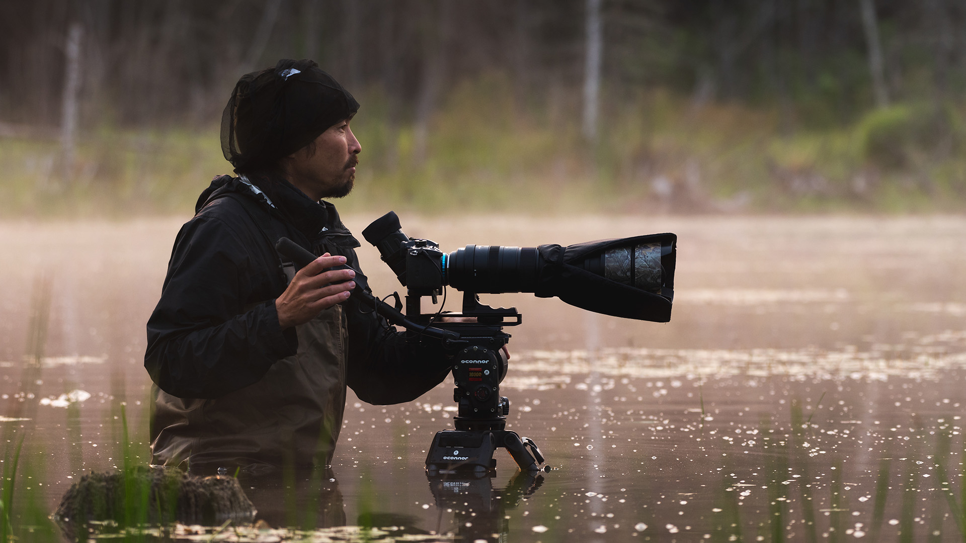 Camera Operator, Yuzuru Masuda, stands in a beaver pond wearing waders. This is from America's... [Photo of the day - June 2023]