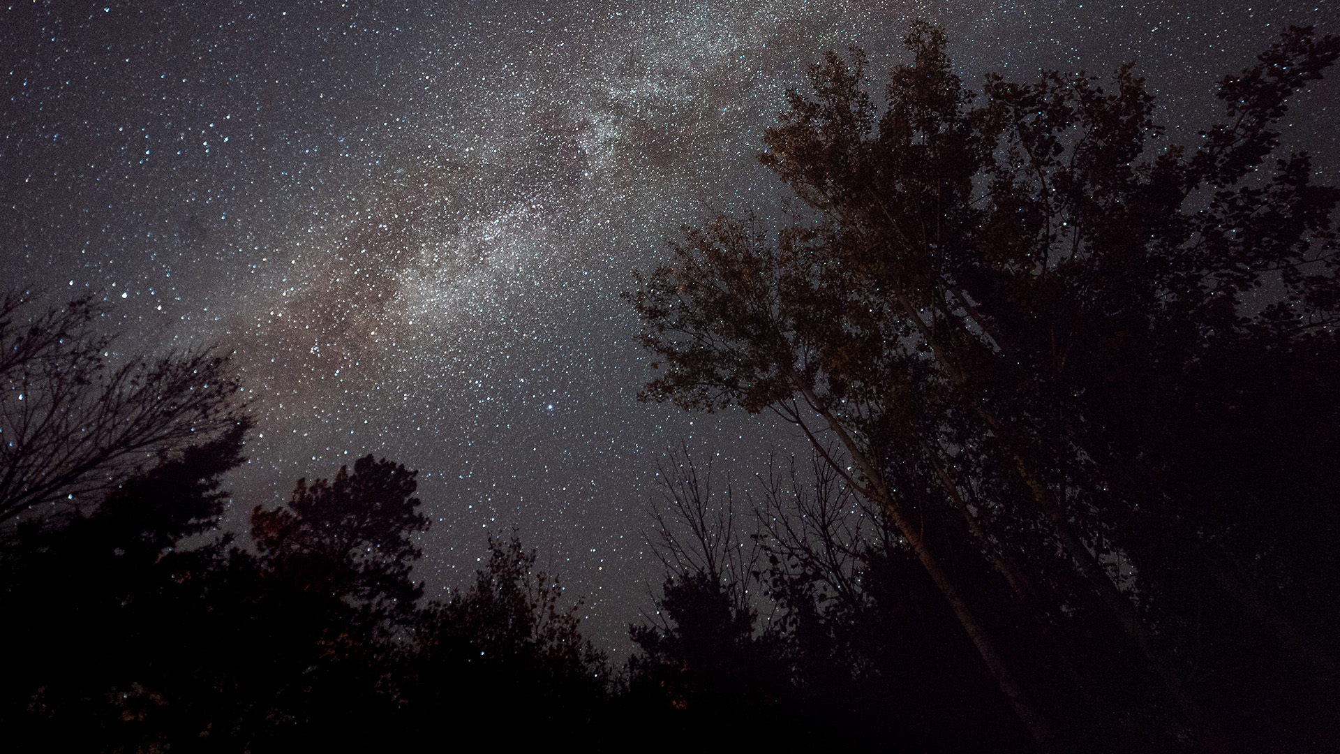 A view of the Milky Way over Voyageurs National Park. This is from America's National Parks. [Photo of the day - June 2023]