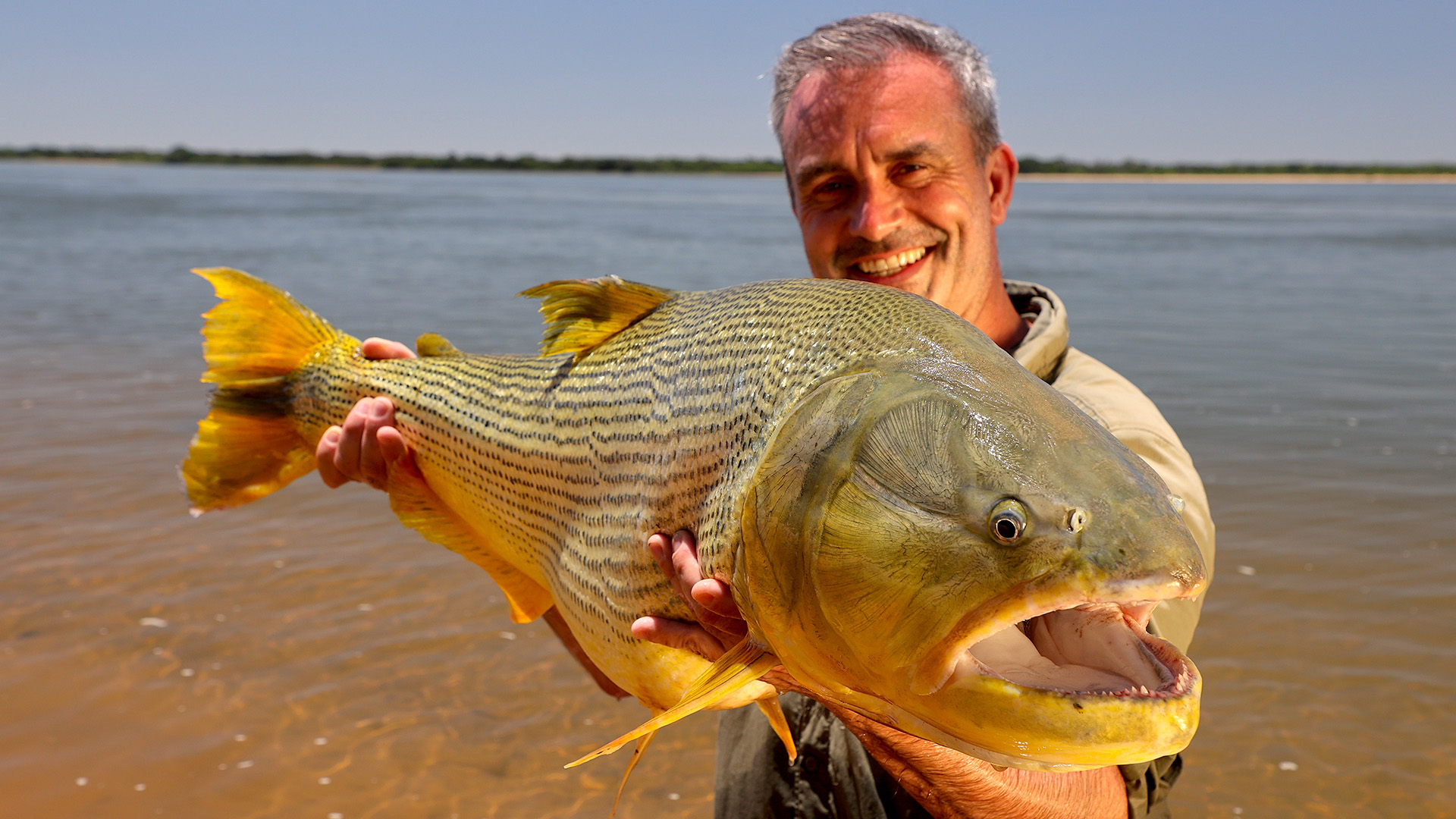 Cyril holds a Dorado, top predators of piranha. This is from Wild Fish. [Photo of the day - June 2023]