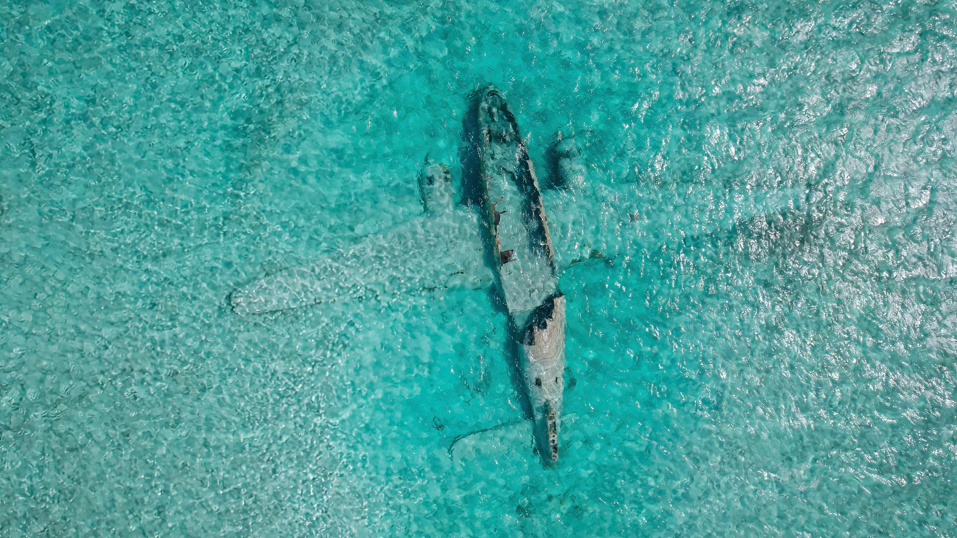 C46 plane wreck glimmers in the waters off Norman's Cay. This is from Drain the Oceans. [Photo of the day - June 2023]