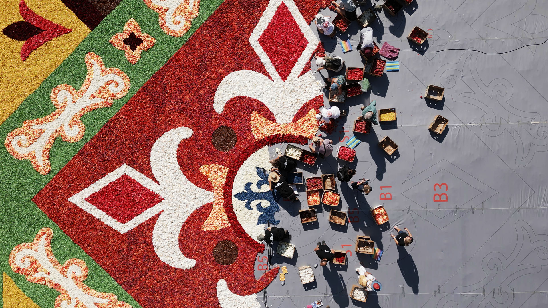 Volunteers lay out flowers during the annual Brussels Flower Carpet Festival in Brussels,... [Photo of the day - July 2023]