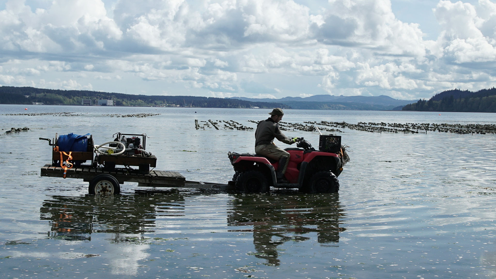Joth's son Caleb tows equipment across the oyster farm at Baywater Shelfish Farm. This is from... [Photo of the day - August 2023]