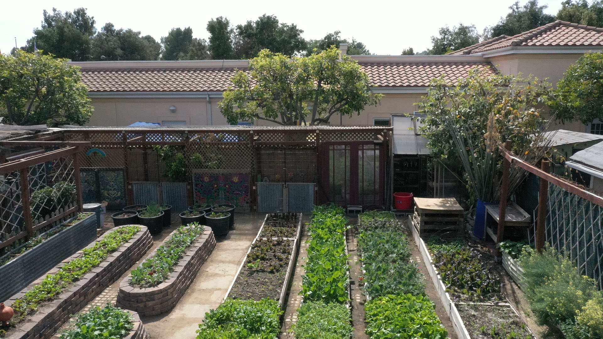 A view of the Urban Homestead farm. This is from Farm Dreams. [Photo of the day - August 2023]