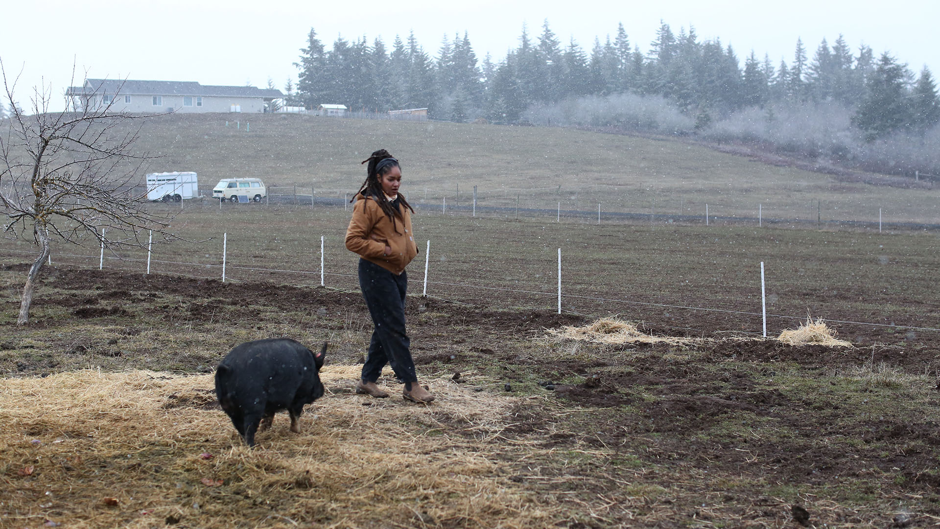 Indy walks the land at the Lyons' farm with a pig beside her.  This is from Farm Dreams. [Photo of the day - August 2023]