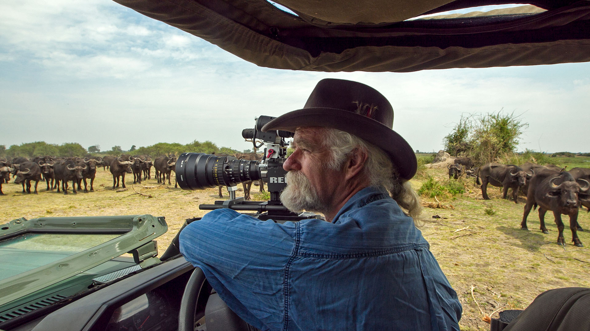 Dereck Joubert filming a herd of Buffalo. This is from Okavango: River of Dreams. [Photo of the day - September 2023]