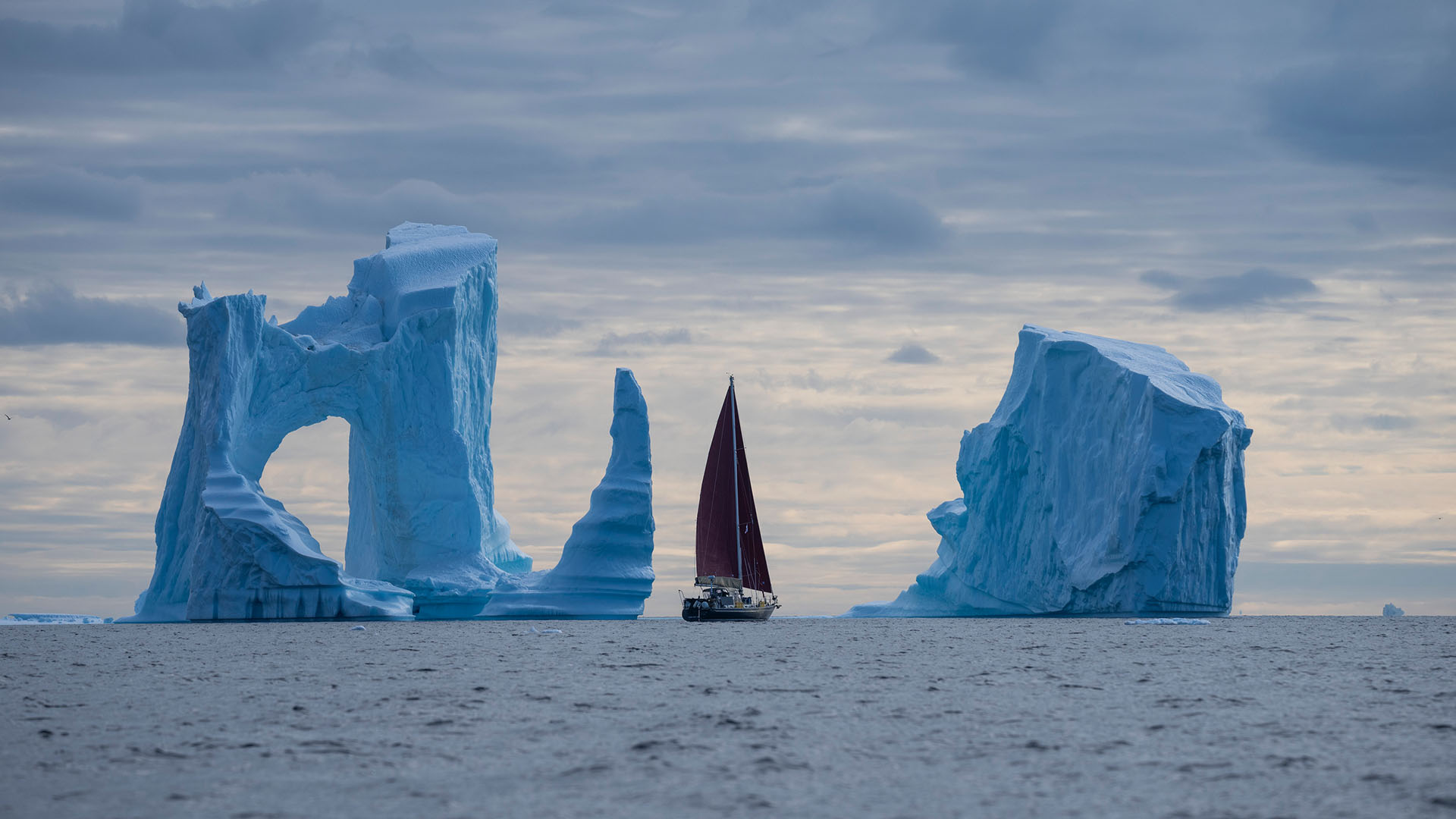 قارب صن بولار يُبحر بين التكوينات الجليدية في القطب... [Photo of the day - ديسمبر 2023]