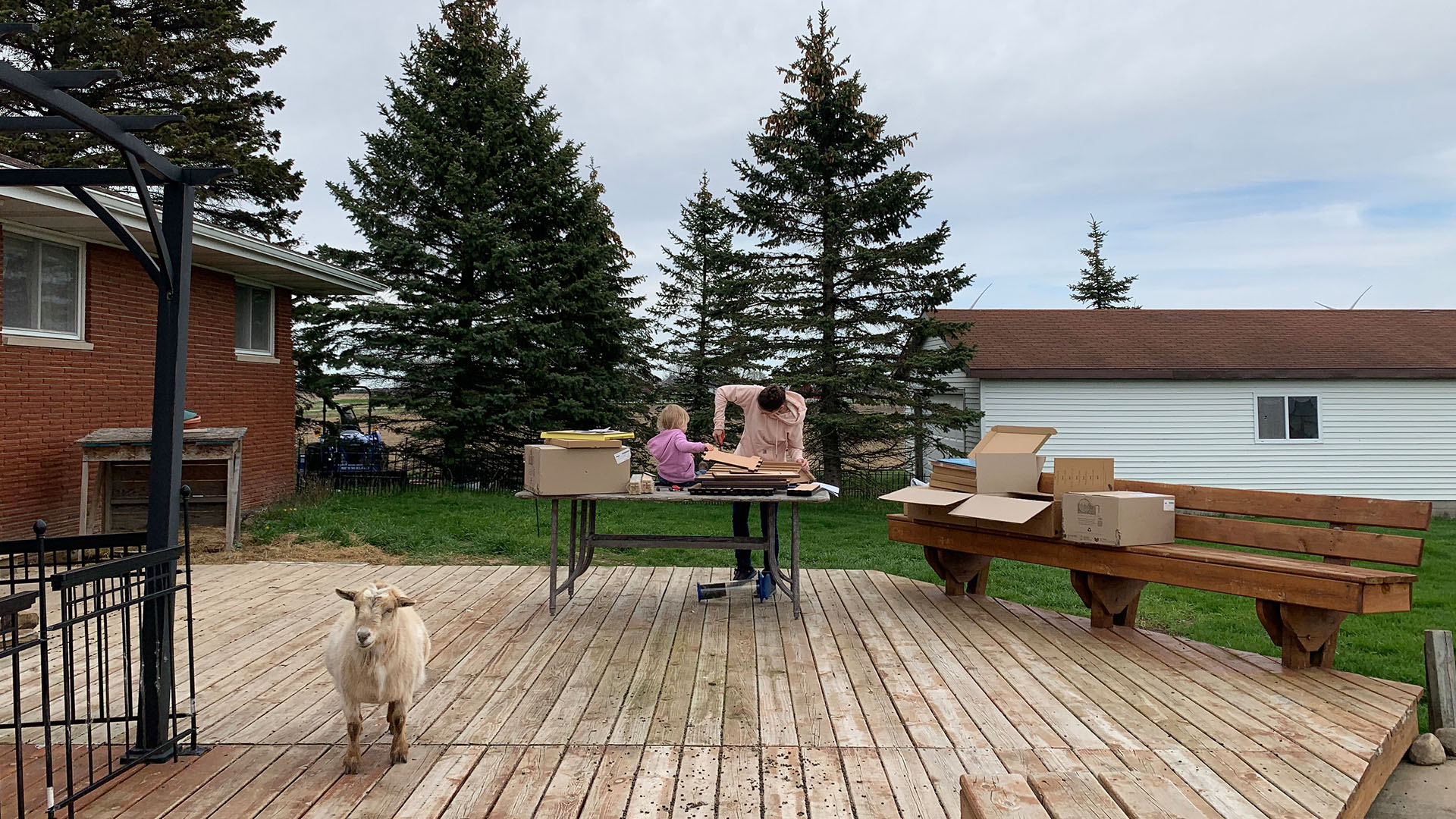 Beth Pol and her daughter, Abigail Pol, building wooden beehives at the Pol family's farm with... [Photo of the day - January 2024]
