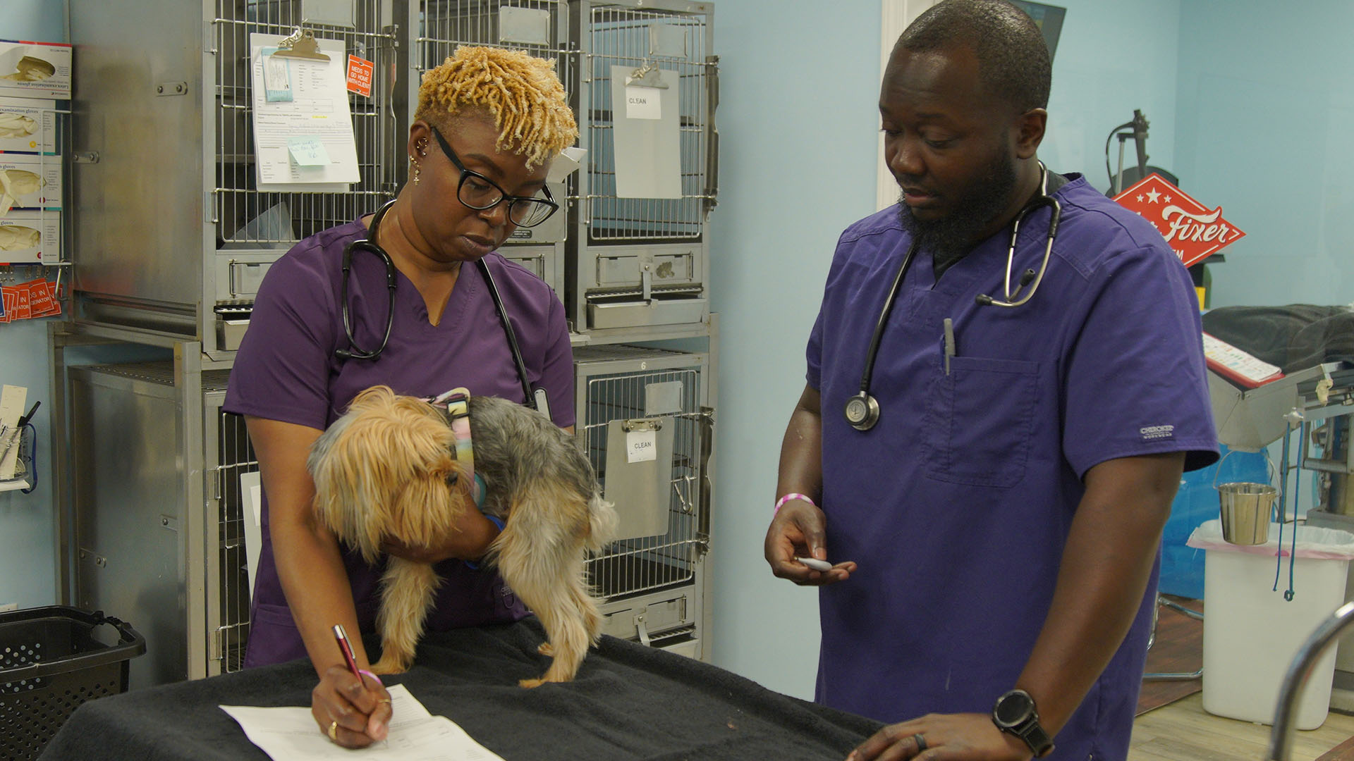 Senior vet tech Andrea and surgery tech Paul review the stats for Gipsy, the dog. This is from... [Photo of the day - March 2024]