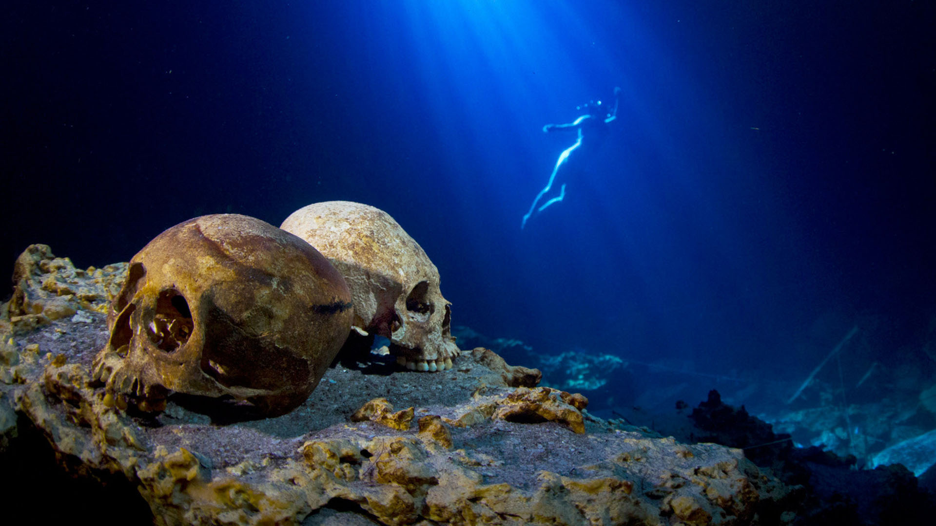 Mayan skulls in a sacred cenote in Mexico. This is from Photographer (2024), Season 1. [Photo of the day - مارس 2024]