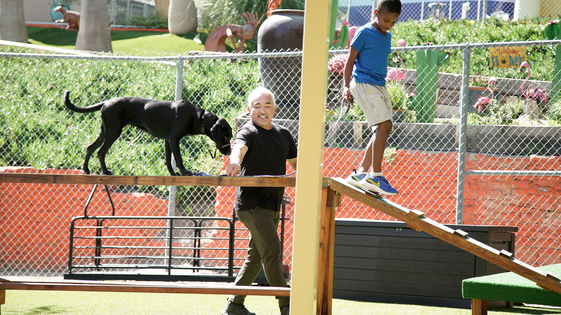 Cesar Millan guiding Lincoln in an exercise with a new dog. This is from Cesar Millan: Better... [Photo of the day - May 2024]