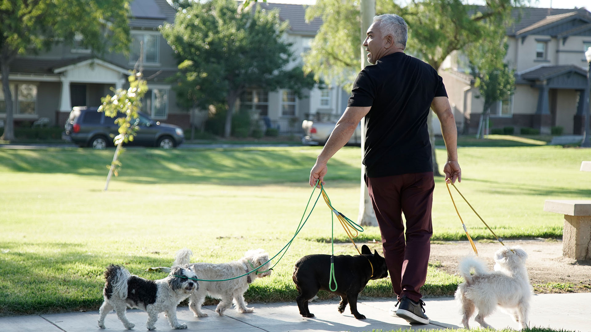 Cesar Millan walking dogs in the park. This is from Cesar Millan: Better Human Better Dog Season 4. [Photo of the day - May 2024]