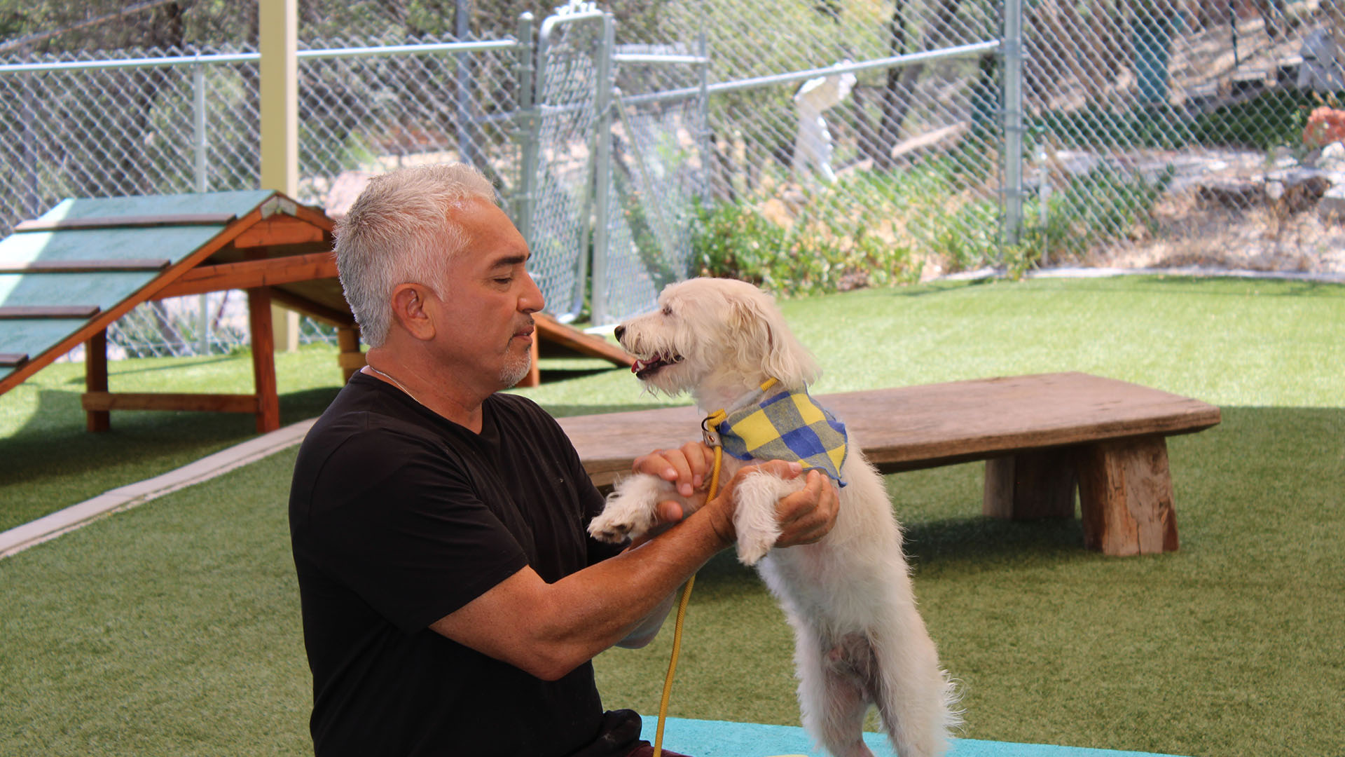 Cesar Millan with a potential dog for the Mejia's matchmaking case. This is from Cesar Millan:... [Photo of the day - May 2024]