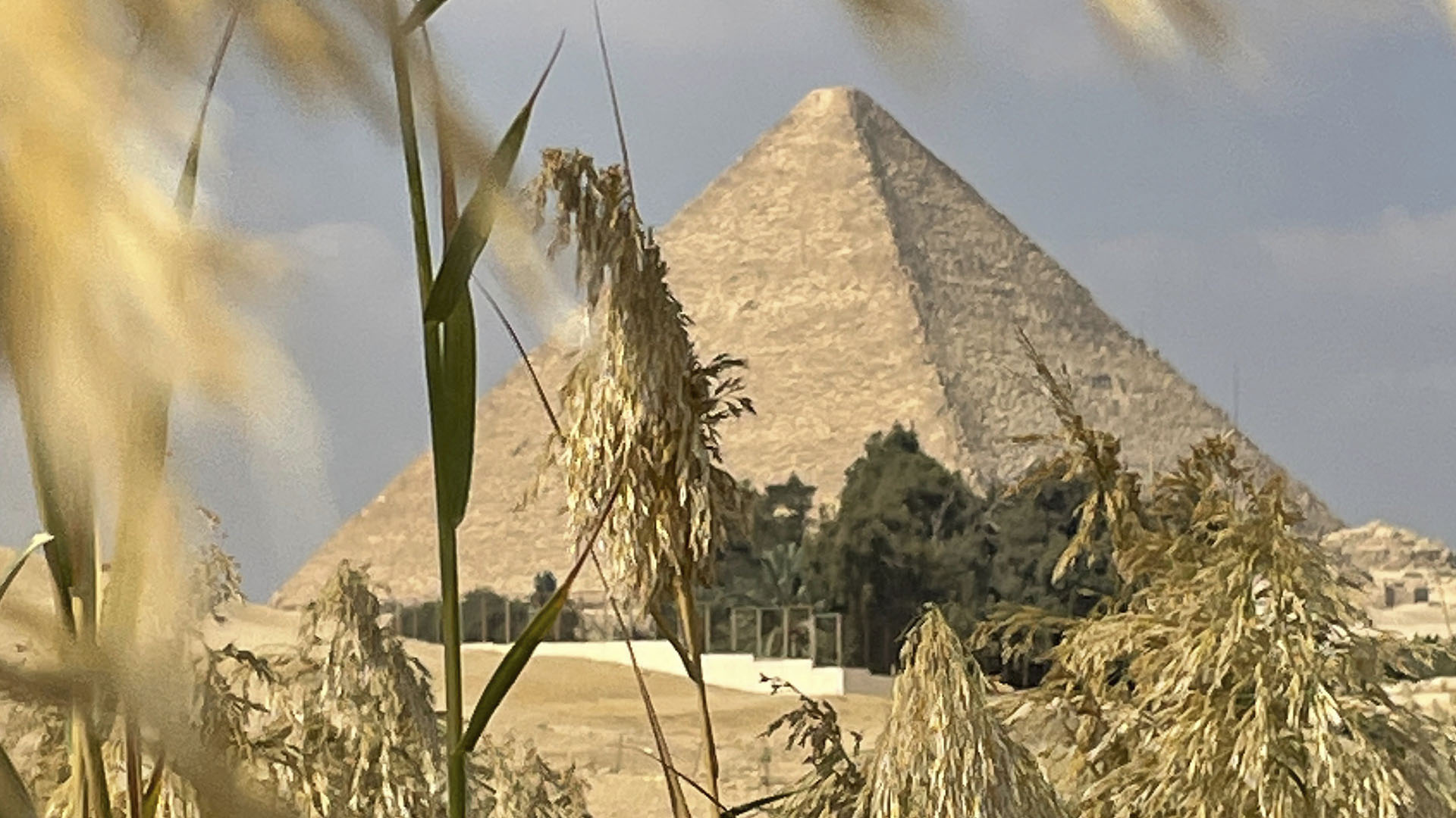 The Great Pyramid of Giza is seen from the excavation site of the newly discovered royal... [Photo of the day - June 2024]