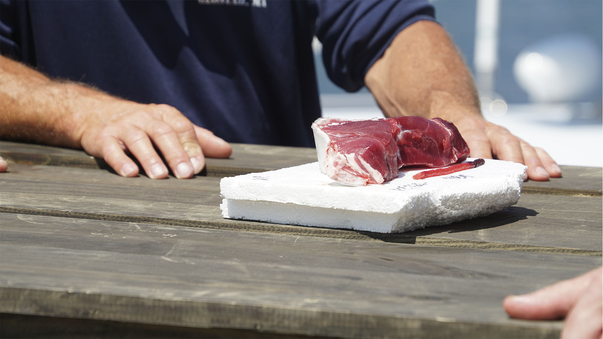Wicked Pissah close up of the sample. This is from Wicked Tuna Seasn 13. [Photo of the day - July 2024]