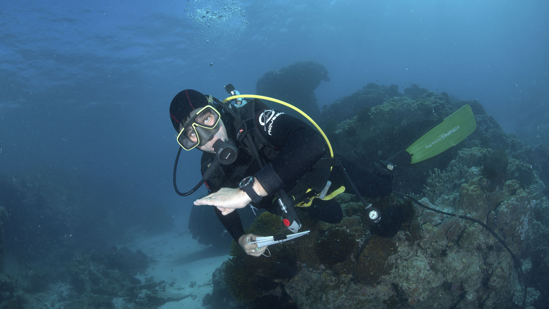 Laurent Vigliola spots a shark. This is from Supersized Sharks. [Photo of the day - July 2024]