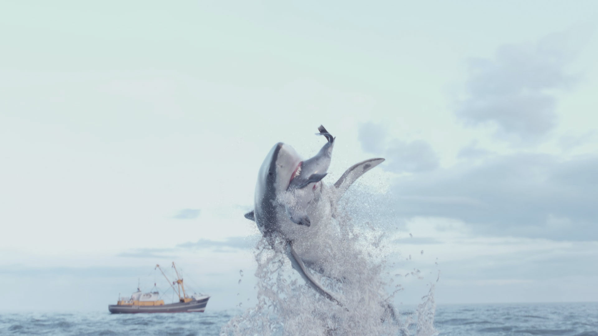 A GFX Great White shark bursting out of the ocean with a GFX seal in its mouth that it had... [Photo of the day - July 2024]