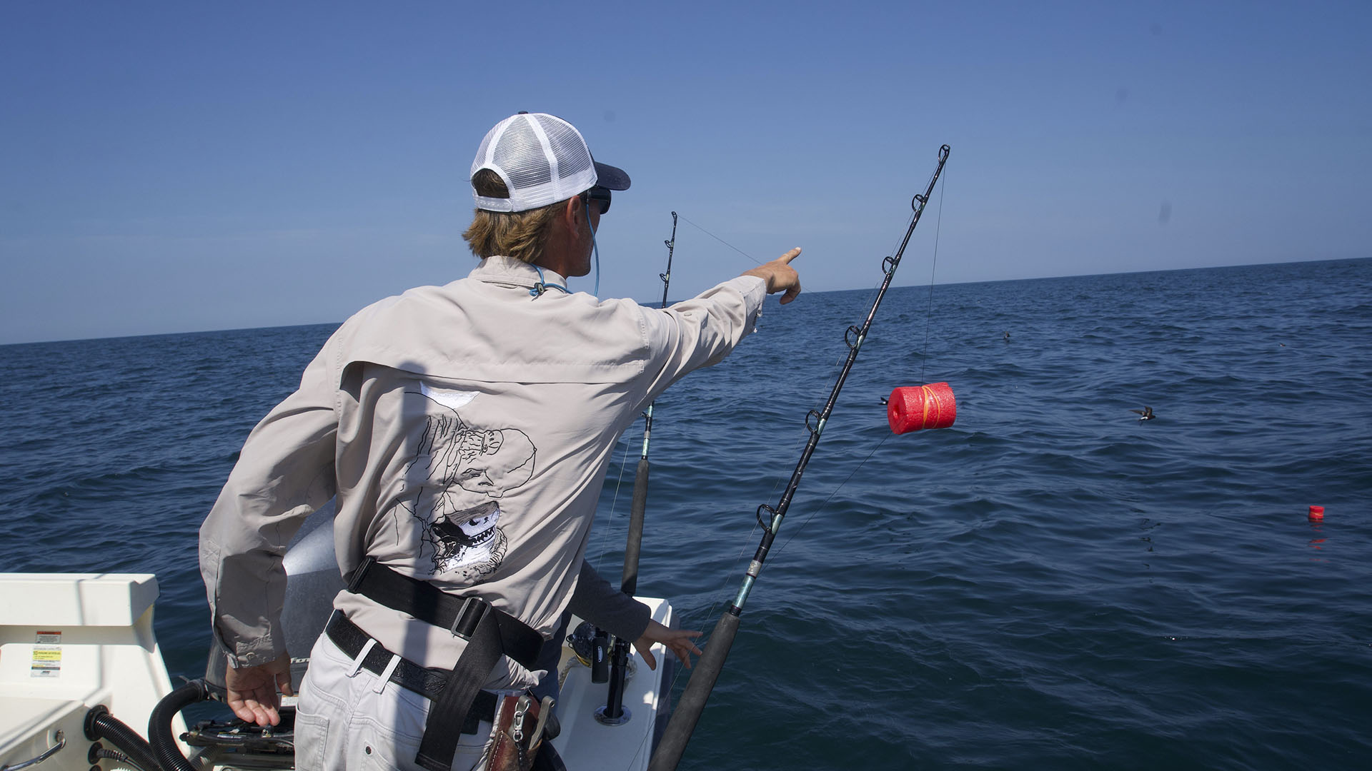 Capt. Greg Metzger points out a possible shark sighting to the team. This is from Baby Sharks in... [Photo of the day - July 2024]