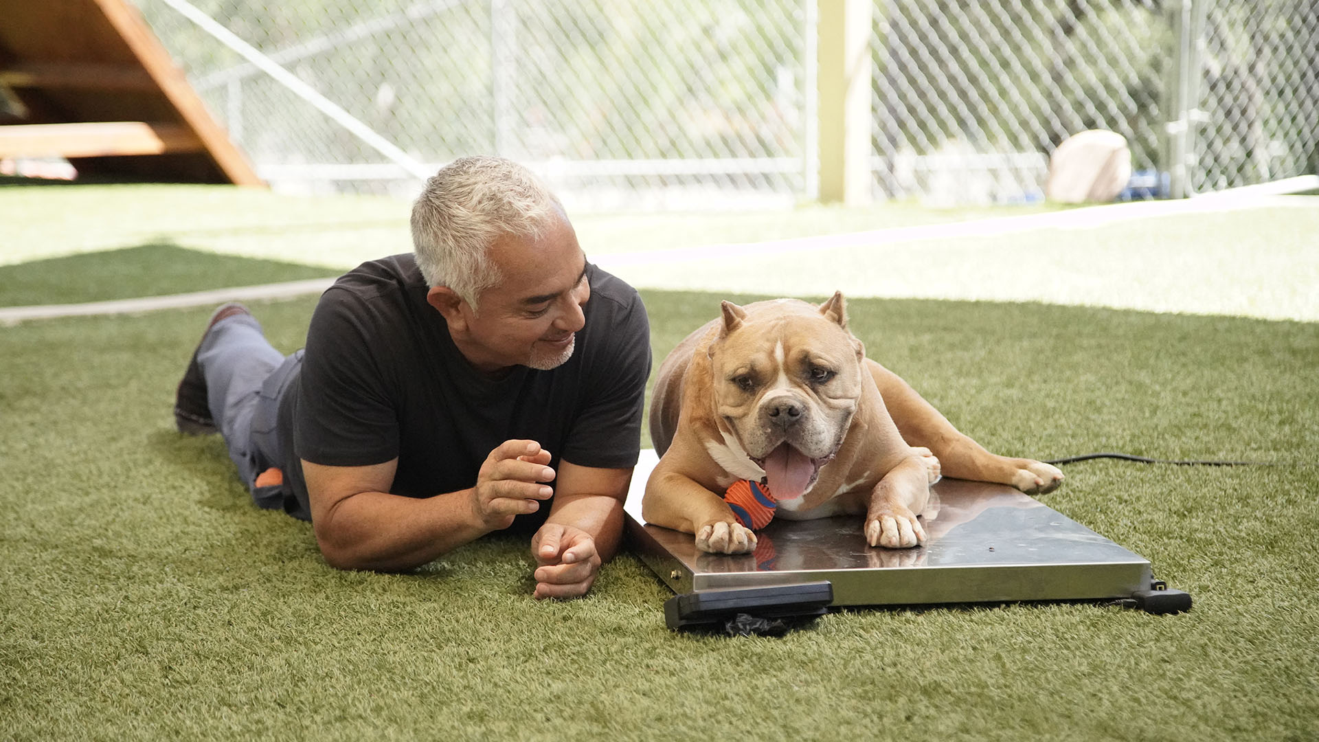 Cesar Millan smiling at Moose, who's on a scale getting weighed. This is from Cesar Millan:... [Photo of the day - August 2024]