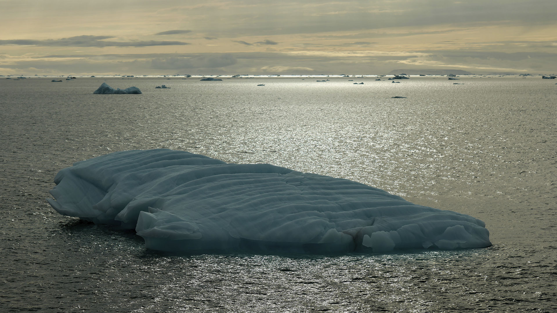 The icy ocean at golden hour off Svalbard, Norway. This is from OceanXplorers. [Photo of the day - August 2024]