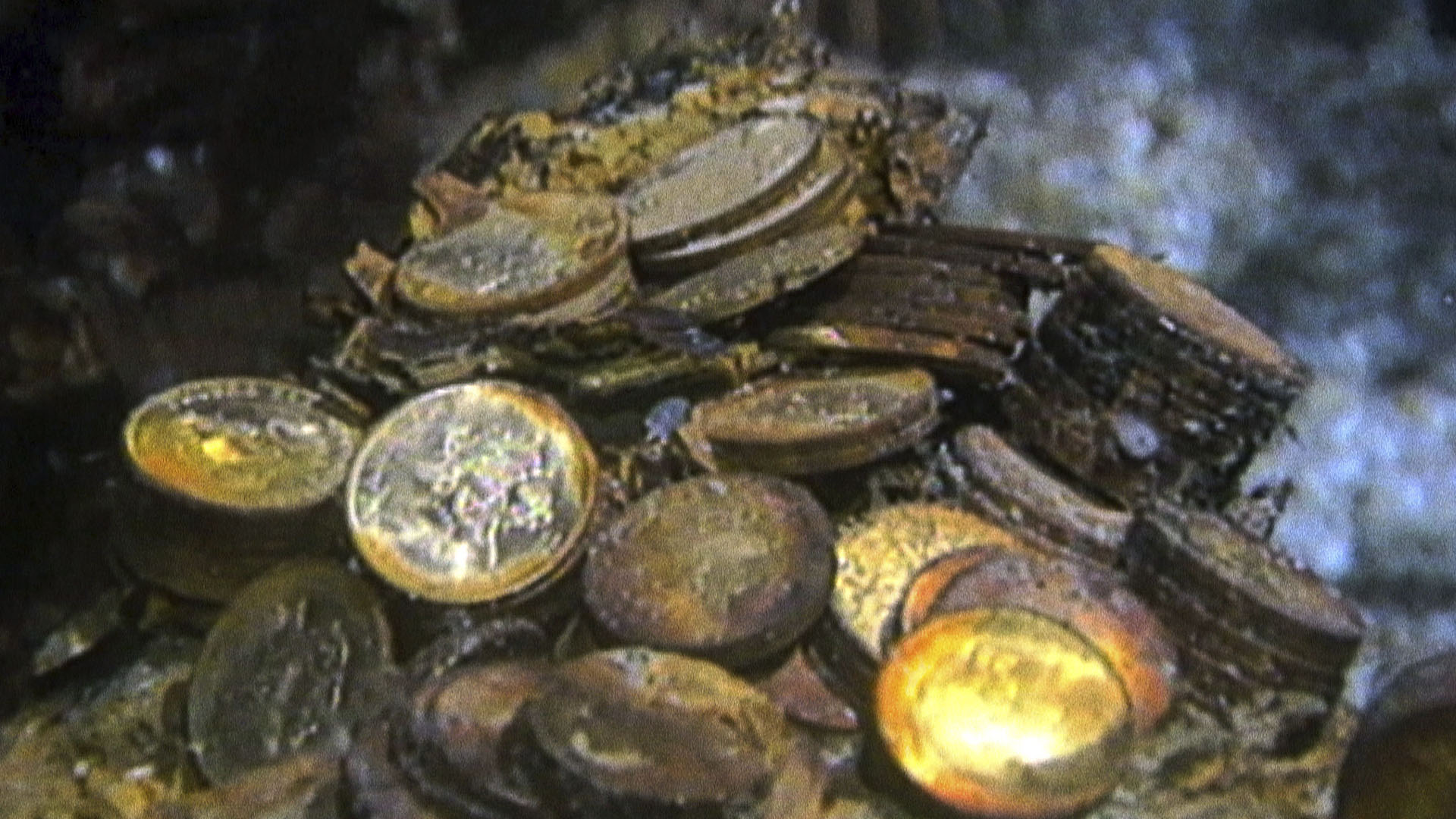 Gold coins are pictured on the bottom of the seabed off the coast of North Carolina, USA. In... [Photo of the day - August 2024]