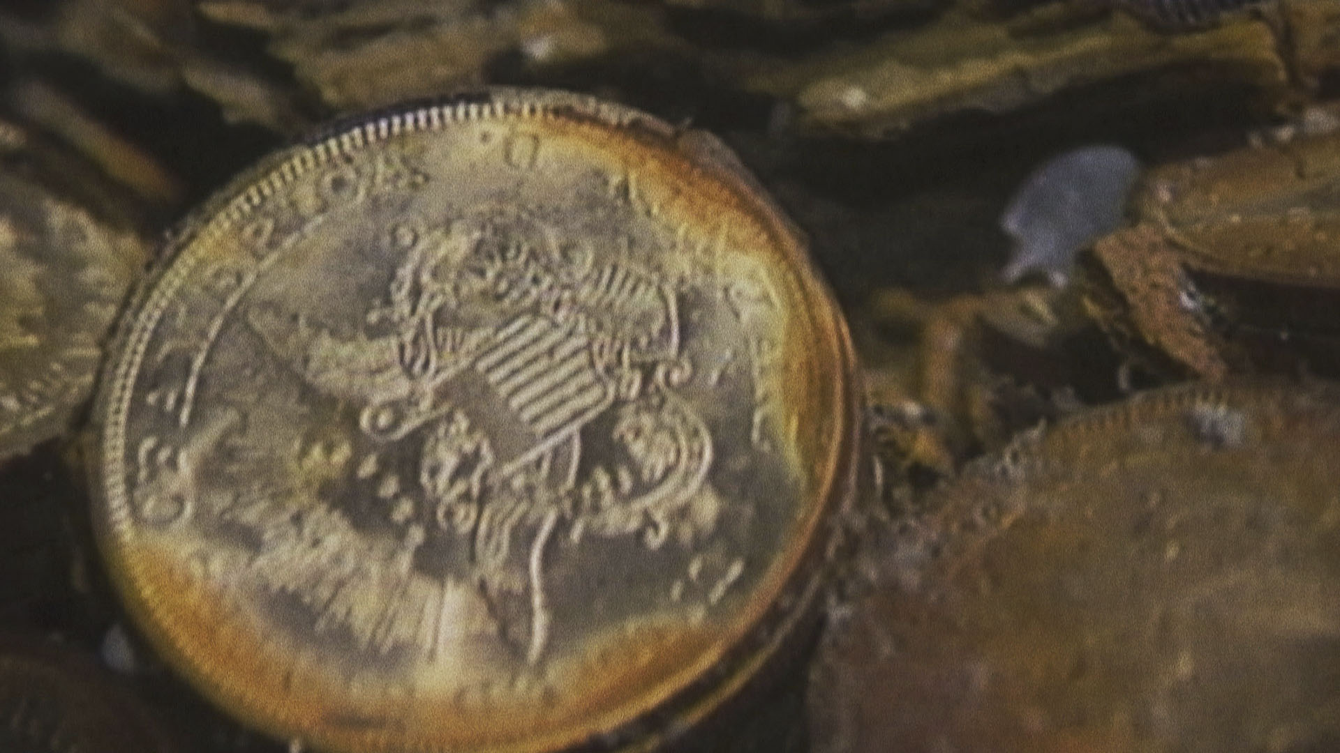 Gold coins are pictured on the bottom of the seabed off the coast of North Carolina, USA. In... [Photo of the day - August 2024]