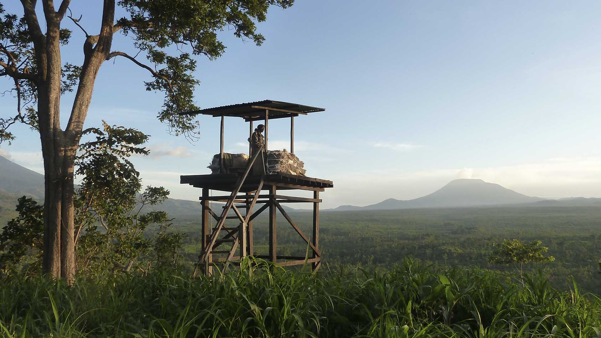 Nyiragongo volcano in the distance the smoke from a height of 3470m latitude. In the foreground,... [Photo of the day - November 2024]