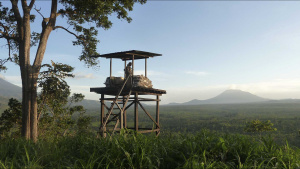 Nyiragongo volcano in the distance... [Photo of the day - 20 NOVEMBER 2024]