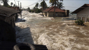 The tsunami flooded the streets and... [Photo of the day - 22 NOVEMBER 2024]