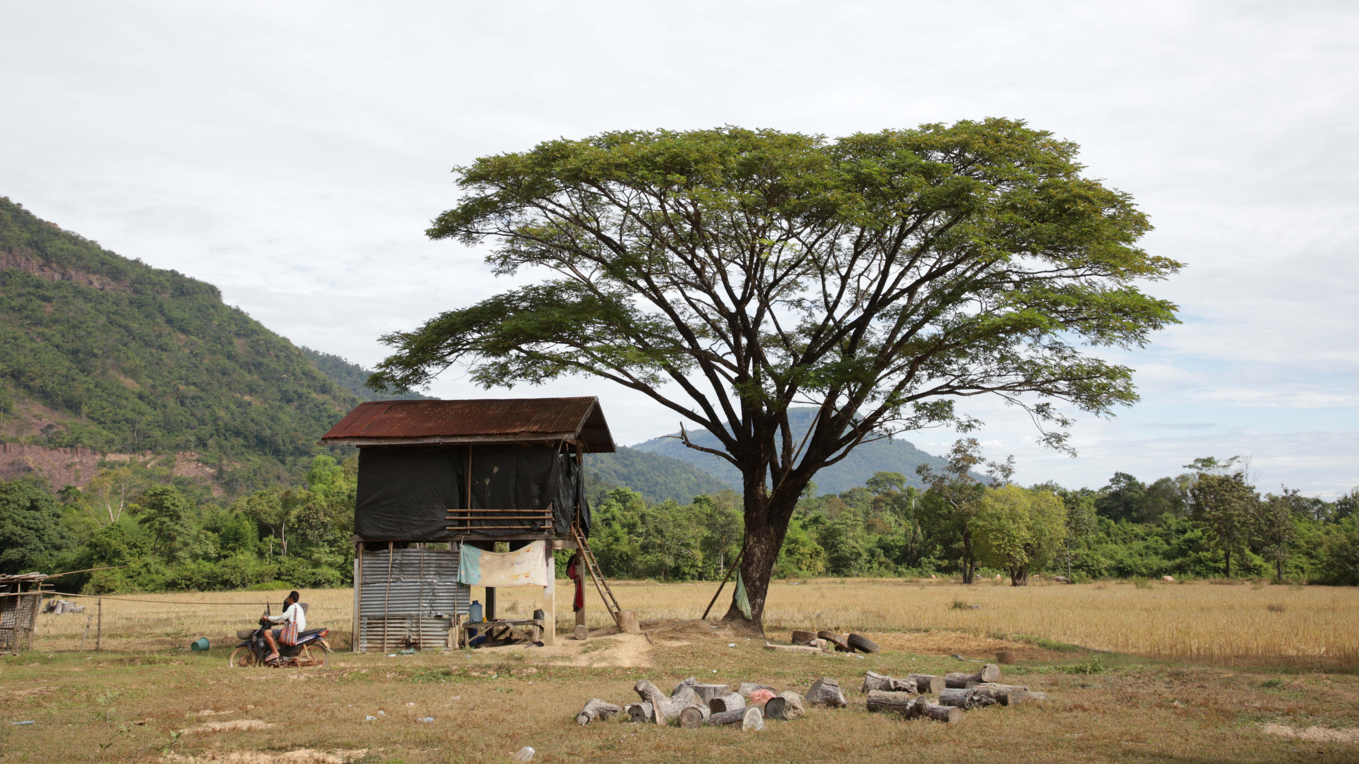 GV along ancient highway, Small hut and tree. This is from Lost Treasures of Angkor Wat. [Photo of the day - January 2025]