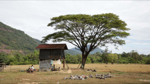 GV along ancient highway, Small hut... [Photo of the day - 19 JANUARY 2025]