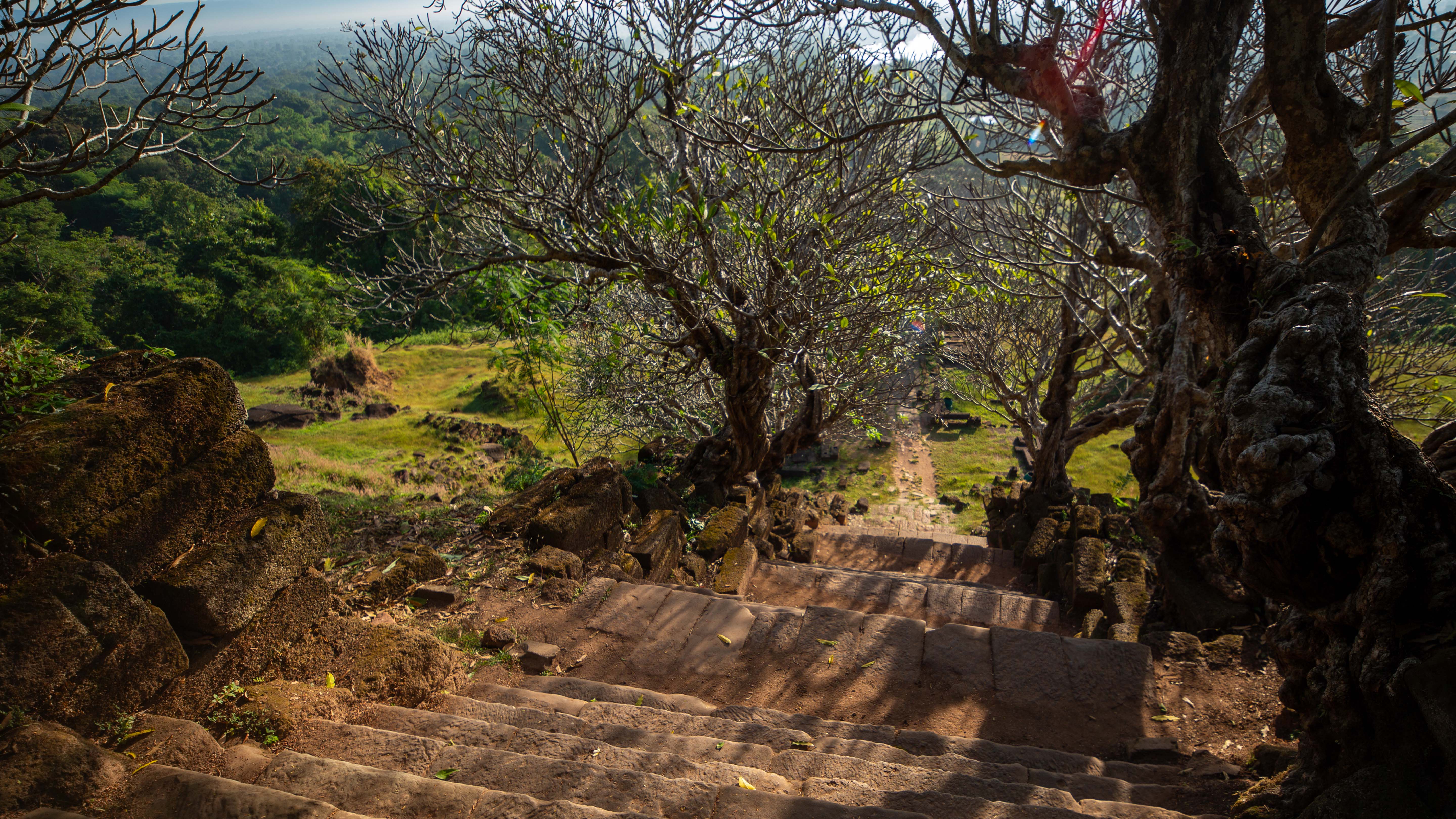 Steps leading down Khmer temple site. This is from Lost Treasures of Angkor Wat. [Photo of the day - January 2025]