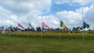 Flags wave during a commemoration... [Photo of the day - 28 FEBRUARY 2025]